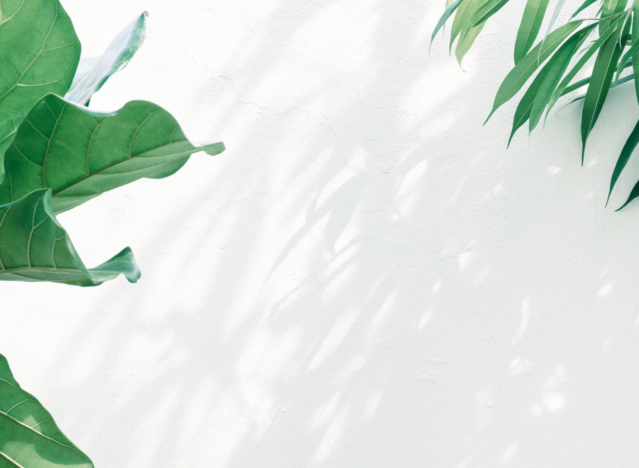 岡崎市の筋膜リリースサロンAppreciate（アプリシェイト）